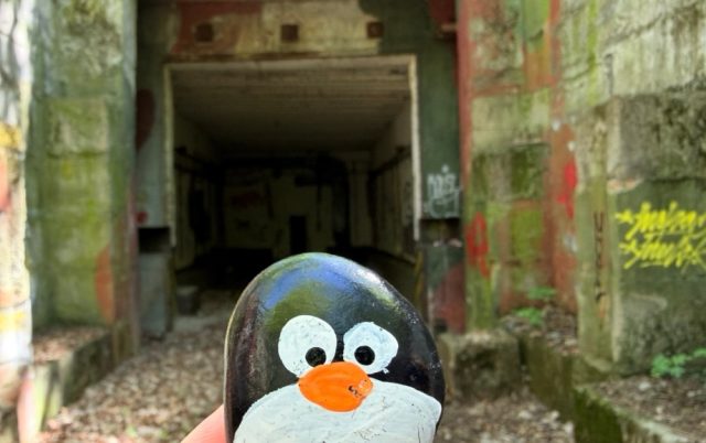 Hand-painted penguin stone #847 hidden at Devinska Kobyla, Bratislava, Slovakia