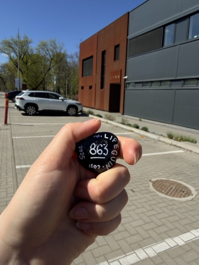 Hand-painted penguin stone #863 hidden at LYRA Chocolate, Ivanka pri Nitre, Slovakia (photo 4 of 5)