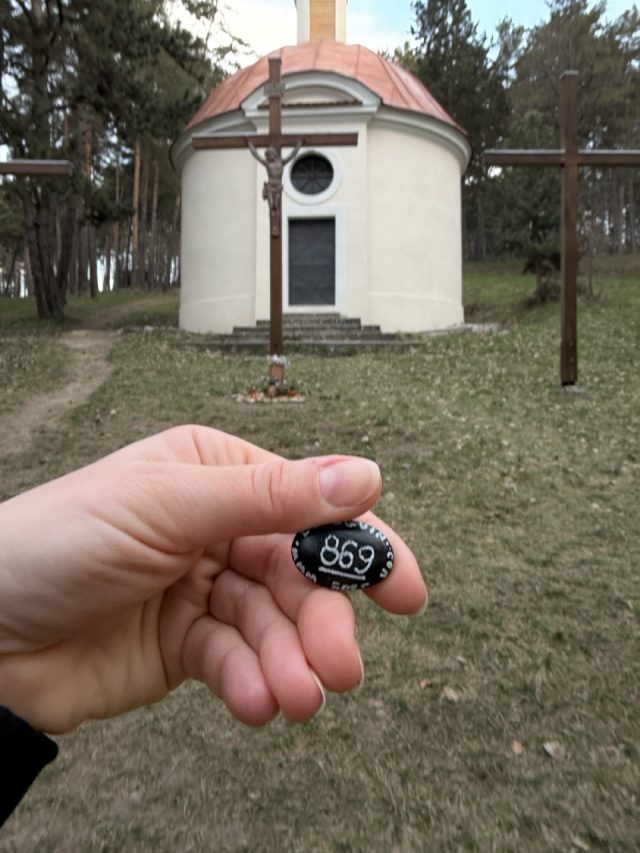 Hand-painted penguin stone #869 hidden at Chapel of the Virgin Mary, Bojnice, Slovakia (photo 2 of 5)