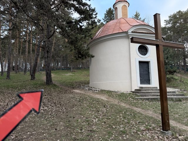 Hand-painted penguin stone #869 hidden at Chapel of the Virgin Mary, Bojnice, Slovakia (photo 5 of 5)