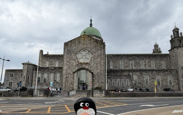 Ručne maľovaný tučniakový kameň č. 876 ukrytý na mieste Galway Cathedral, Galway, Írsko