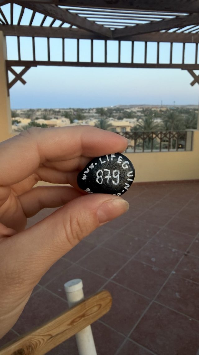 Hand-painted penguin stone #879 hidden at The Tower at Steigenberger Coraya Beach, Marsa Alam, Egypt (photo 3 of 5)