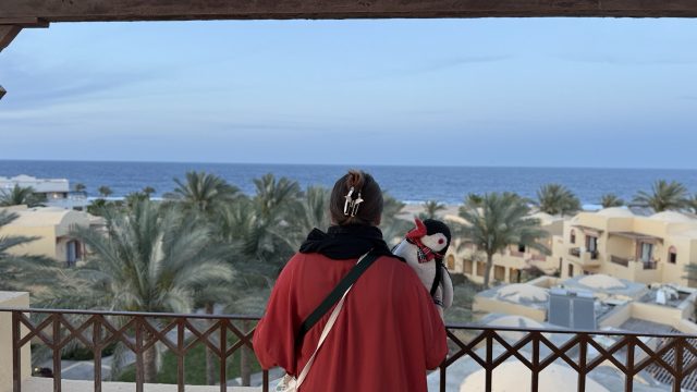 Hand-painted penguin stone #879 hidden at The Tower at Steigenberger Coraya Beach, Marsa Alam, Egypt (photo 5 of 5)