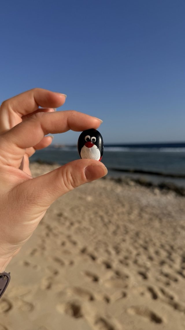 Hand-painted penguin stone #884 hidden at Stone Wall, Marsa Alam, Egypt (photo 2 of 5)