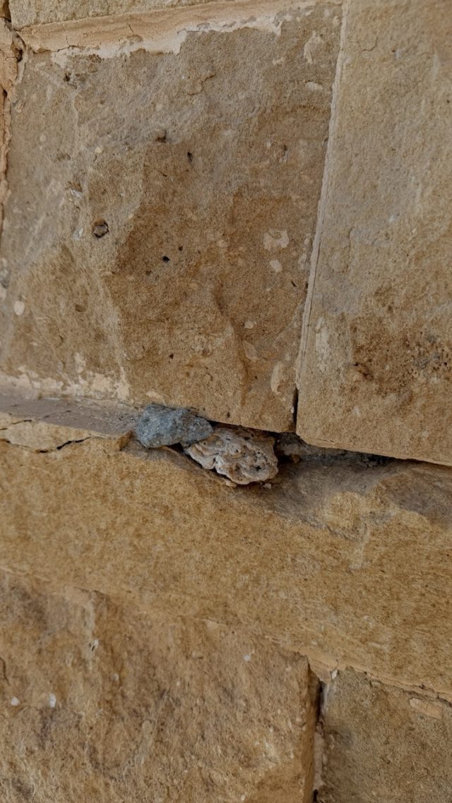 Hand-painted penguin stone #884 hidden at Stone Wall, Marsa Alam, Egypt (photo 4 of 5)