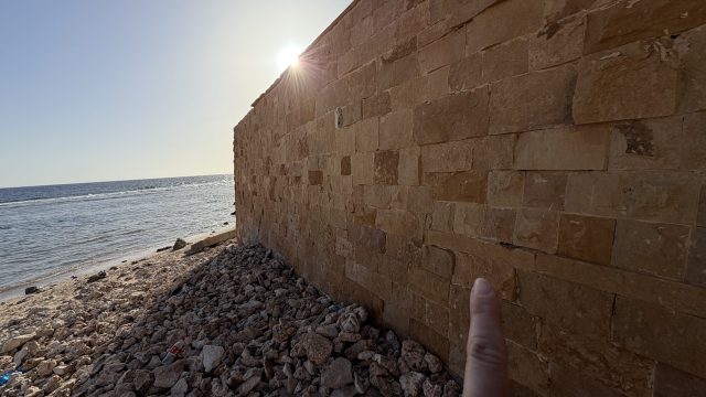 Hand-painted penguin stone #884 hidden at Stone Wall, Marsa Alam, Egypt (photo 5 of 5)