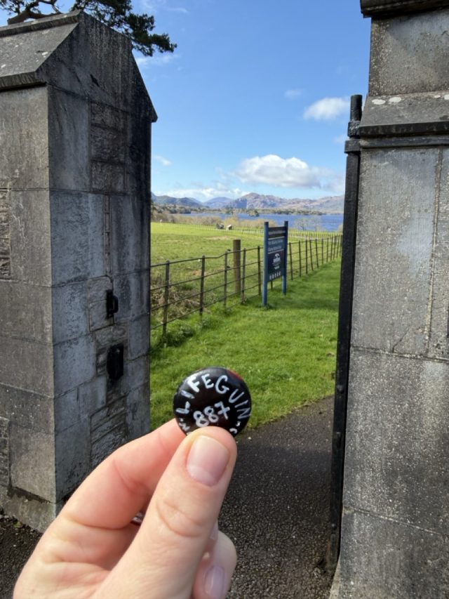 Hand-painted penguin stone #887 hidden at Muckross Jaunting Car Tours-Murphy Tours, Muckross, Ireland (photo 4 of 5)