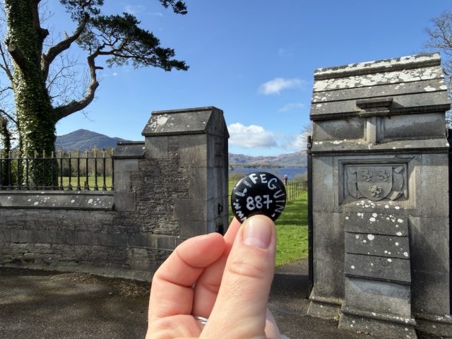 Hand-painted penguin stone #887 hidden at Muckross Jaunting Car Tours-Murphy Tours, Muckross, Ireland (photo 5 of 5)