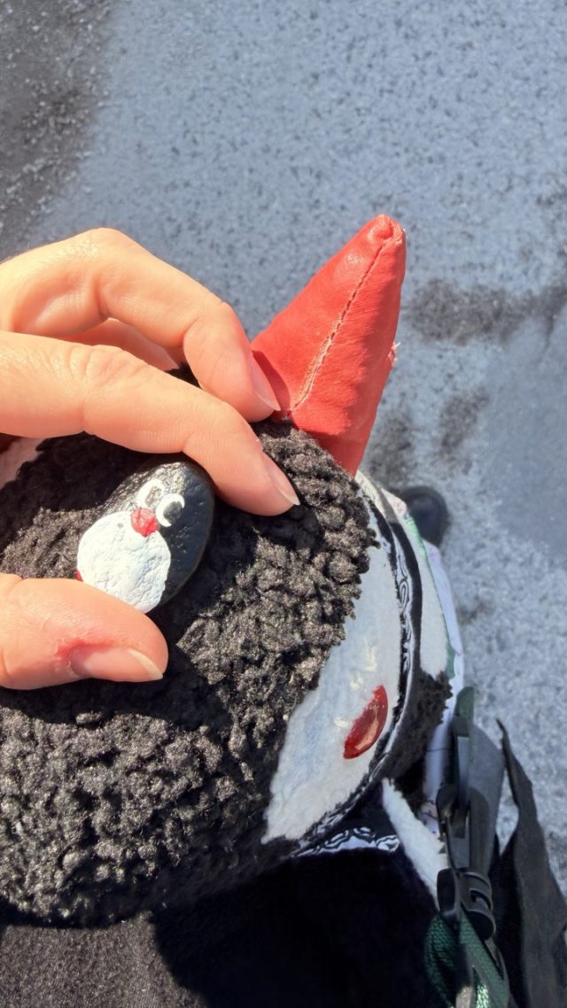 Hand-painted penguin stone #900 hidden at Radenov Dom, Cicmany, Slovakia (photo 3 of 5)