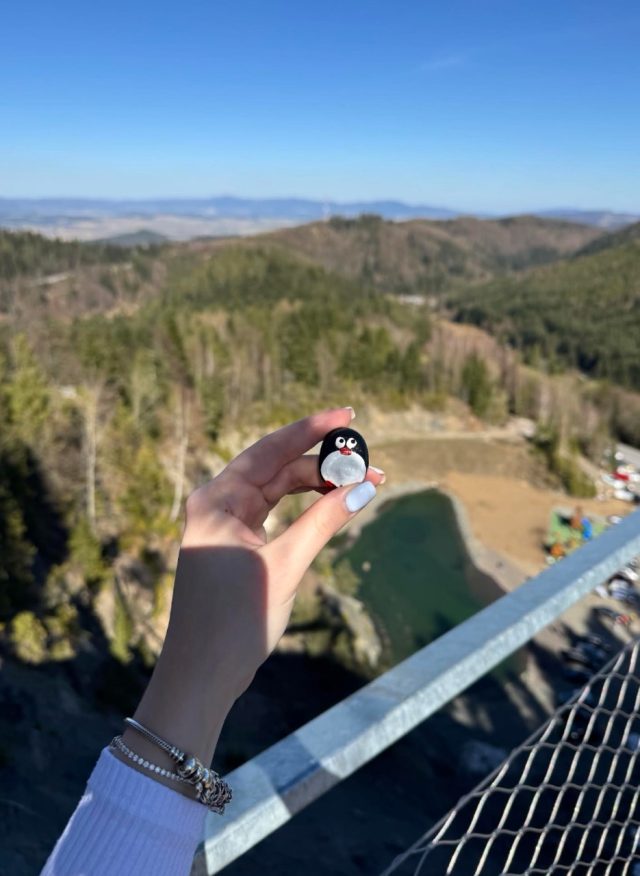 Hand-painted penguin stone #997 hidden at Giants in Paradise, Hnilcik, Slovakia (photo 2 of 5)