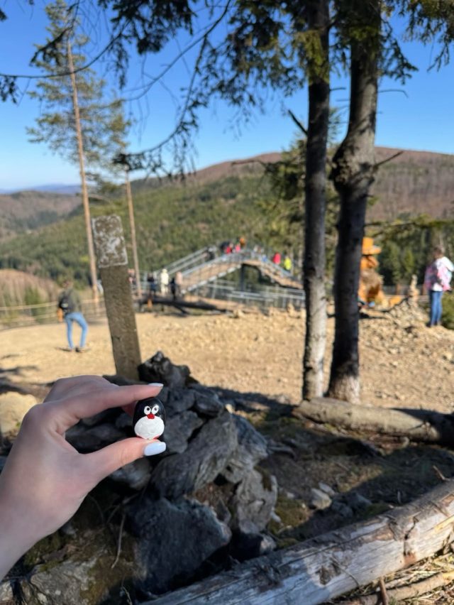 Hand-painted penguin stone #997 hidden at Giants in Paradise, Hnilcik, Slovakia (photo 3 of 5)