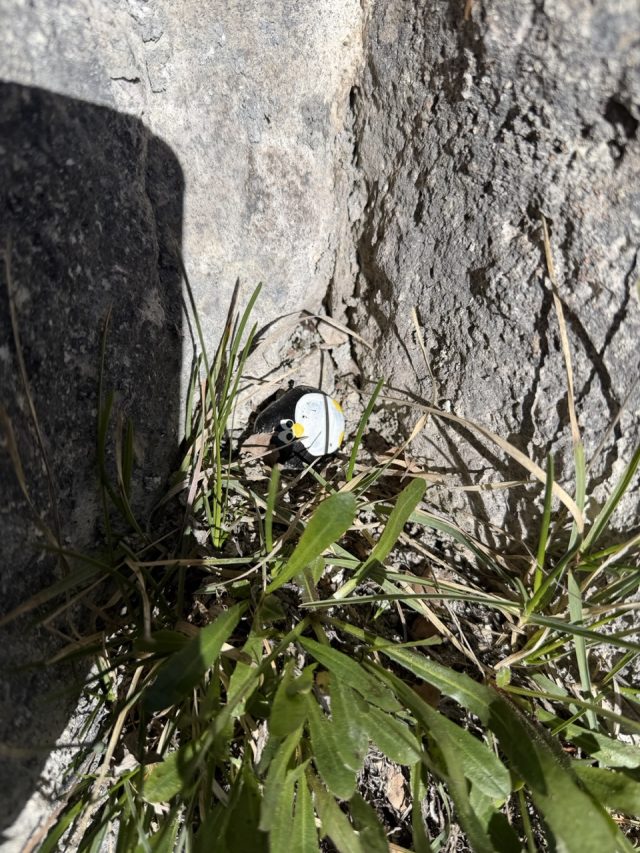 Hand-painted penguin stone #1003 hidden at Vorderer Gosausee, Gosauseen, Austria (photo 4 of 5)
