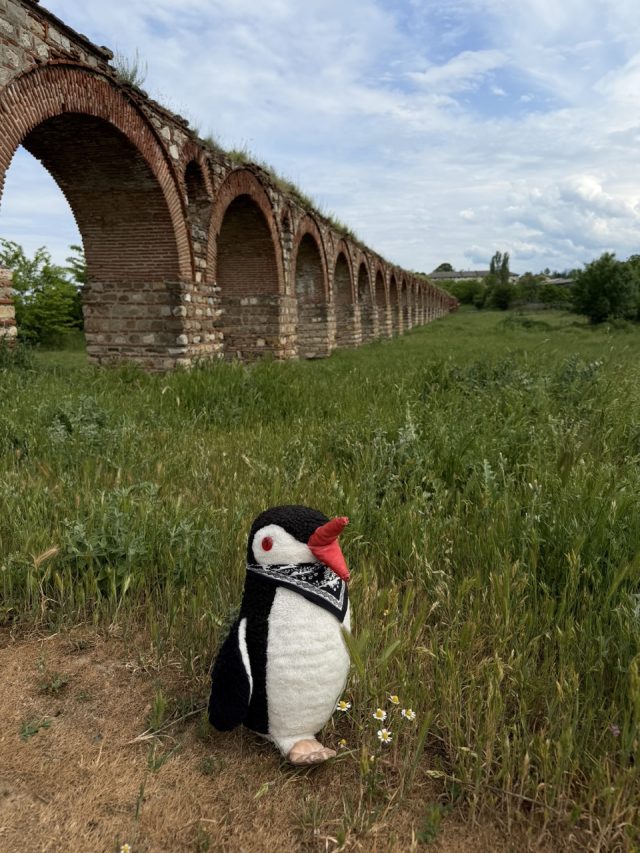Hand-painted penguin stone #1013 hidden at Skopje Aqueduct, Skopje, North Macedonia (photo 5 of 5)