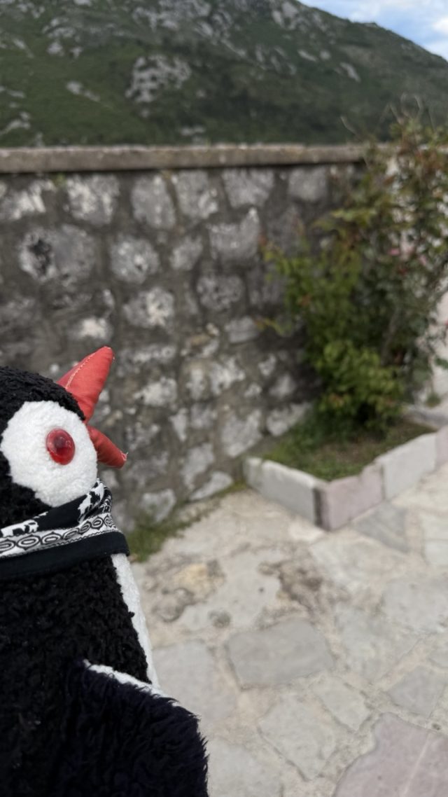 Hand-painted penguin stone #1017 hidden at Stone Wall at Church of Our Lady of the Rocks, Perast, Montenegro (photo 4 of 5)