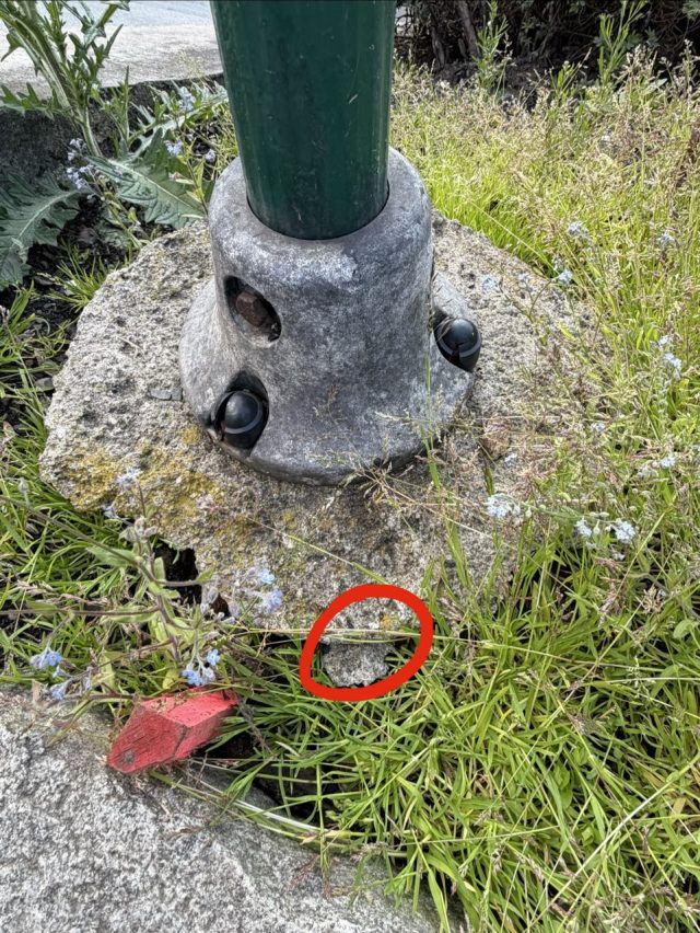 Hand-painted penguin stone #1018 hidden at The Home of Becherovka, Karlove Vary, Czechia (photo 5 of 5)