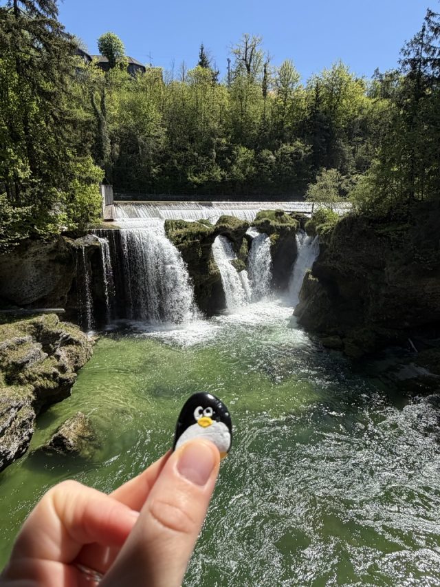 Hand-painted penguin stone #1027 hidden at Traunfall Waterfalls, Roitham, Austria (photo 4 of 5)