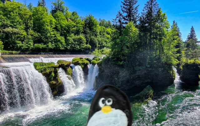 Ručne maľovaný tučniakový kameň č. 1027 ukrytý na mieste Traunfall Waterfalls, Roitham, Rakúsko