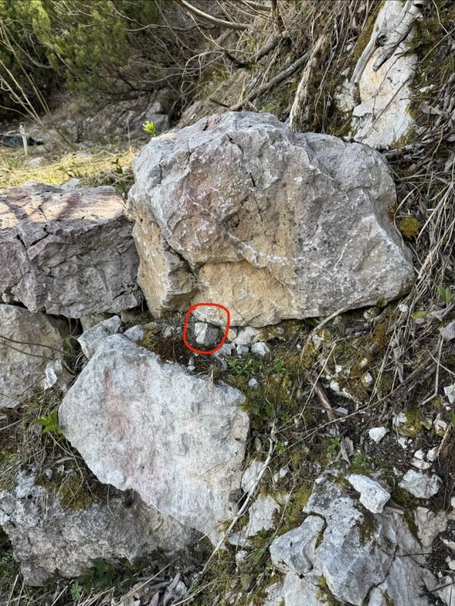 Hand-painted penguin stone #1030 hidden at Dachstein Giant Ice Cave, Obertraun, Austria (photo 4 of 5)