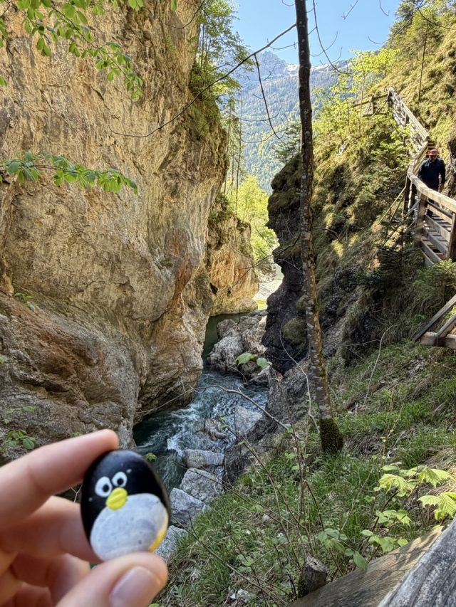 Hand-painted penguin stone #1059 hidden at Lammerklamm, Scheffau am Tennengebirge, Austria (photo 3 of 5)