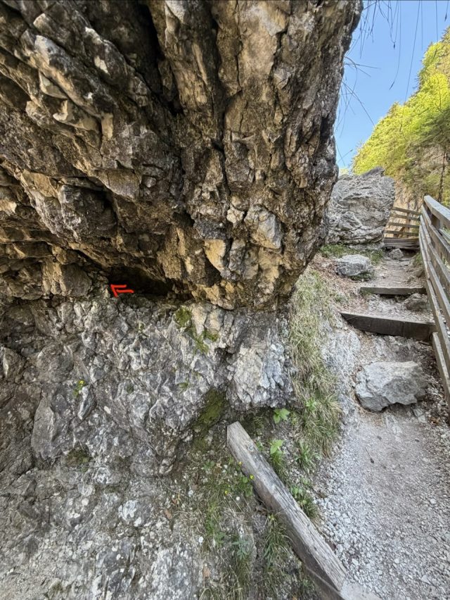 Hand-painted penguin stone #1059 hidden at Lammerklamm, Scheffau am Tennengebirge, Austria (photo 5 of 5)