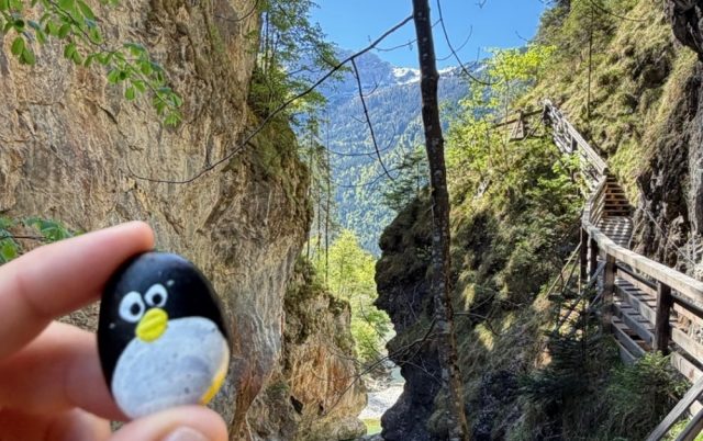 Ručne maľovaný tučniakový kameň č. 1059 ukrytý na mieste Lammerklamm, Scheffau am Tennengebirge, Rakúsko