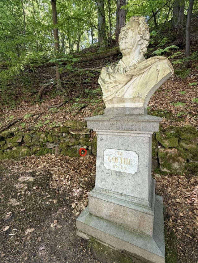 Hand-painted penguin stone #1061 hidden at Bust of Johann Wolfgang von Goethe, Karlove Vary, Czechia (photo 4 of 5)