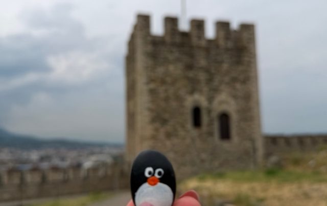 Hand-painted penguin stone #1091 hidden at Tower at Skopje Fortress, Skopje, North Macedonia