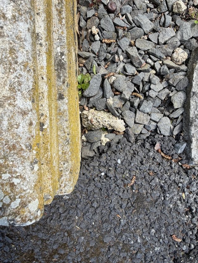 Hand-painted penguin stone #1092 hidden at Park Hotel Richmond, Karlove Vary, Czechia (photo 5 of 5)