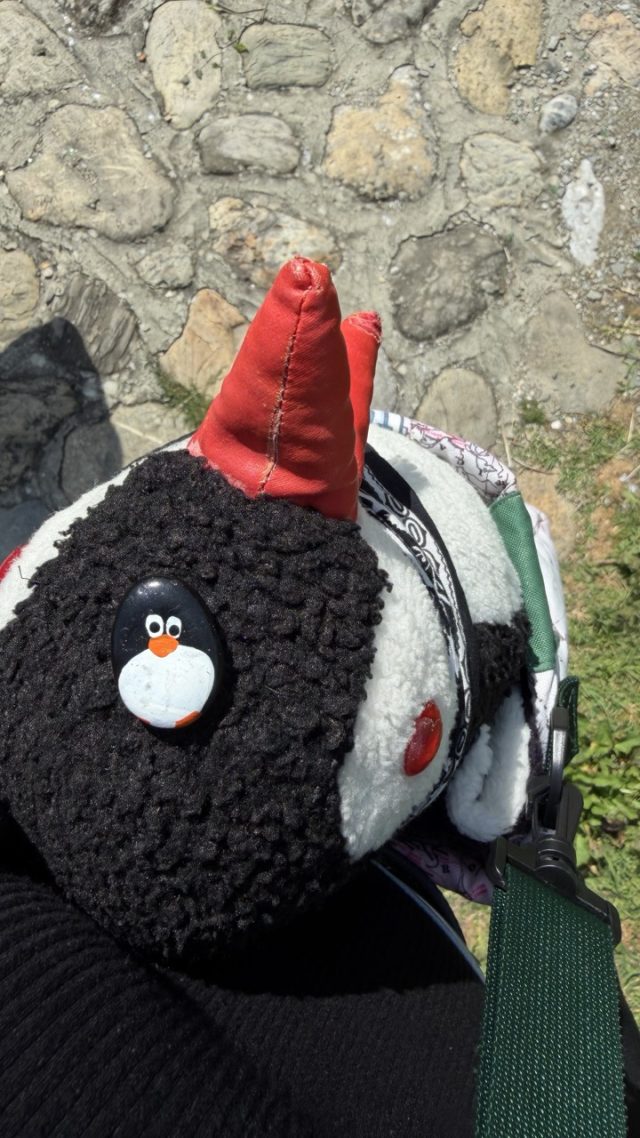 Hand-painted penguin stone #1112 hidden at Prizren Fortress Tunnel, Prizren, Kosovo (photo 3 of 5)