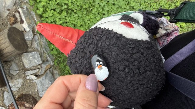 Hand-painted penguin stone #1128 hidden at Mladen Stojanovski, Gorno Nerezi, North Macedonia (photo 2 of 5)