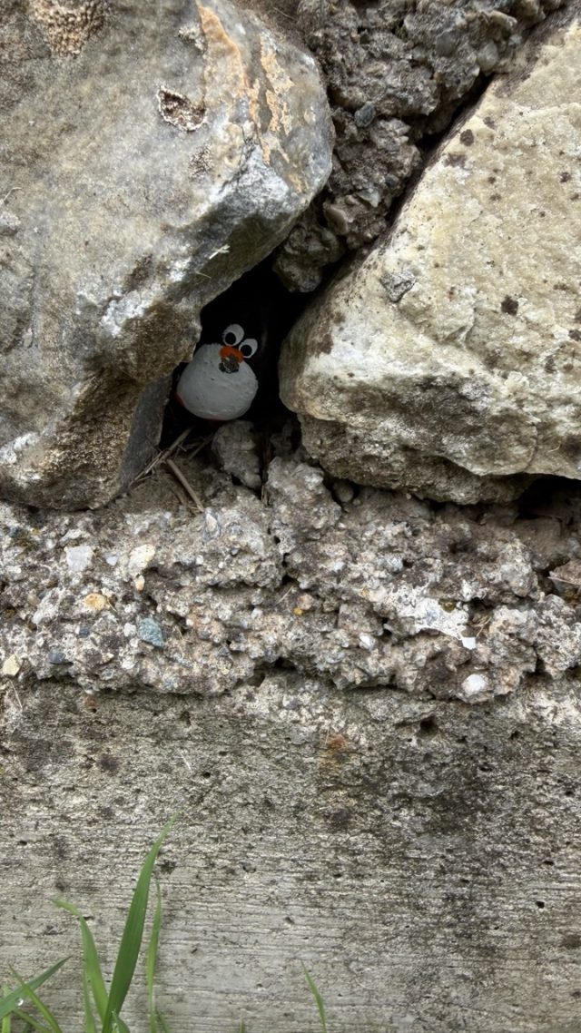 Hand-painted penguin stone #1128 hidden at Mladen Stojanovski, Gorno Nerezi, North Macedonia (photo 4 of 5)