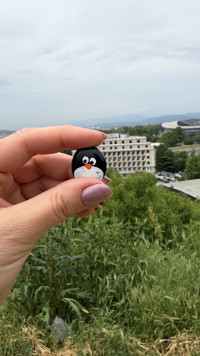 Hand-painted penguin stone #1130 hidden at Rocks at Skopje Fortress, Skopje, North Macedonia (photo 4 of 5)