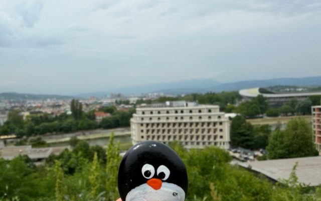 Hand-painted penguin stone #1130 hidden at Rocks at Skopje Fortress, Skopje, North Macedonia