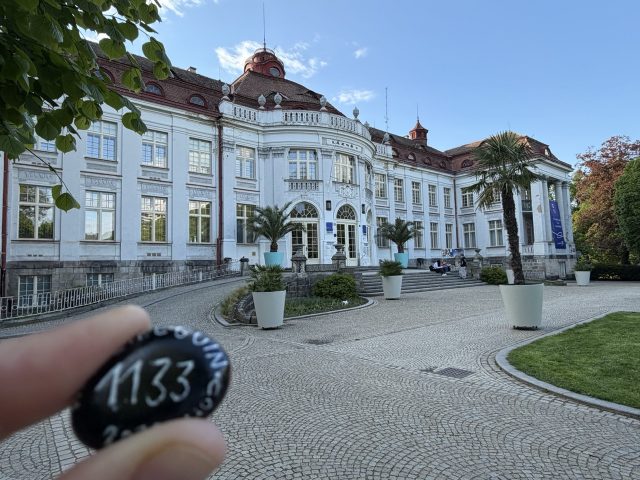 Hand-painted penguin stone #1133 hidden at Alzbetiny Lazne, a.s., Czechia (photo 2 of 5)