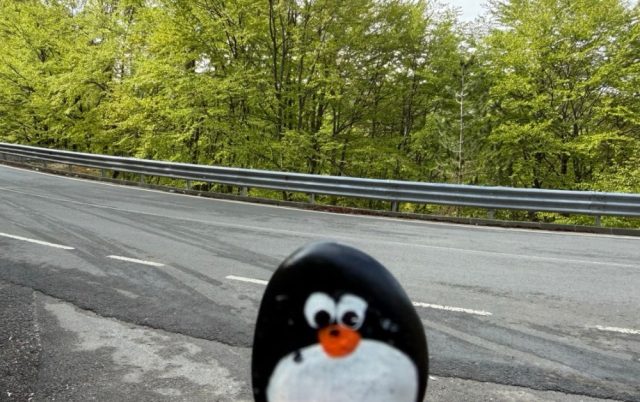 Hand-painted penguin stone #1136 hidden at Water Spring, Prizren, Kosovo