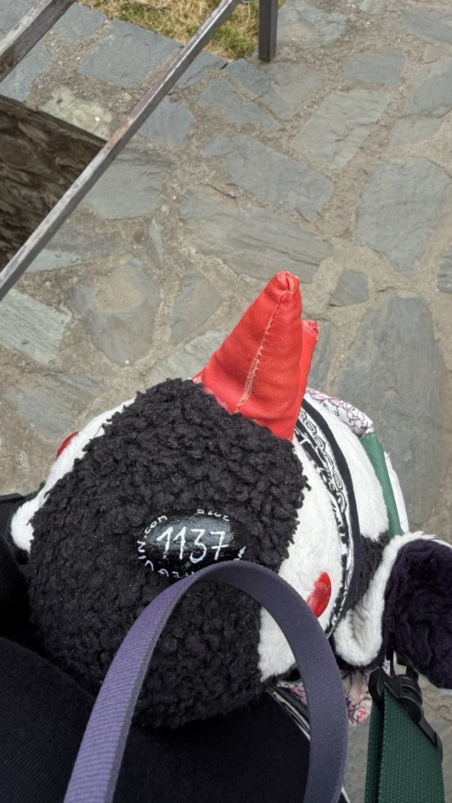Hand-painted penguin stone #1137 hidden at Fortress View Point, Skopje, North Macedonia (photo 4 of 5)