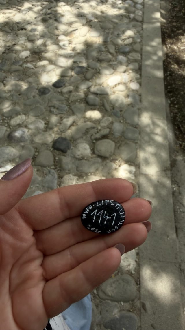Hand-painted penguin stone #1141 hidden at Road to Prizren Fortress, Prizren, Kosovo (photo 2 of 5)