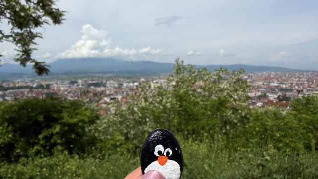 Hand-painted penguin stone #1141 hidden at Road to Prizren Fortress, Prizren, Kosovo (photo 4 of 5)