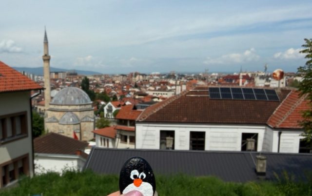 Hand-painted penguin stone #1141 hidden at Road to Prizren Fortress, Prizren, Kosovo