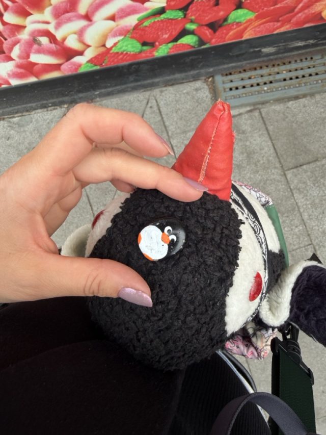 Hand-painted penguin stone #1156 hidden at Tree, Prizren, Kosovo (photo 2 of 3)