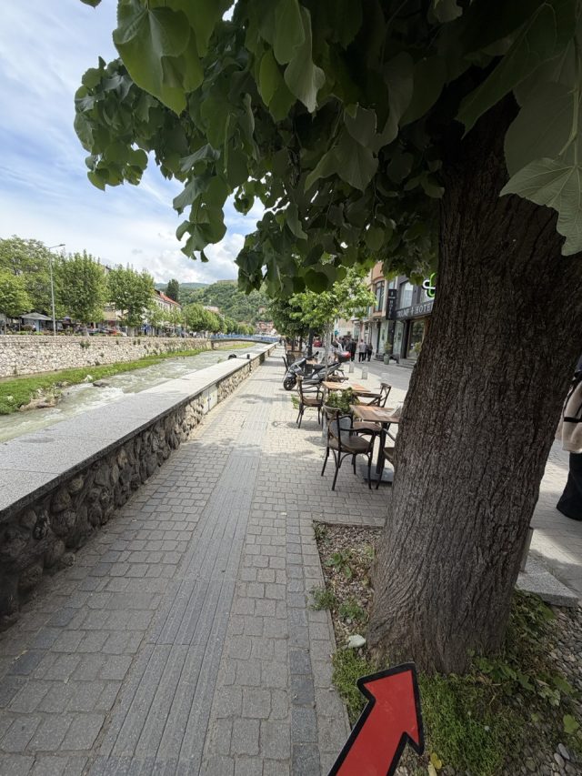 Hand-painted penguin stone #1156 hidden at Tree, Prizren, Kosovo (photo 3 of 3)