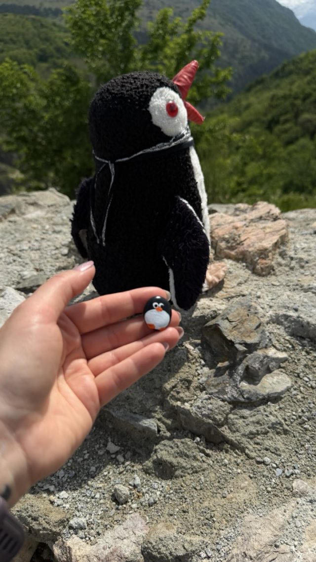 Hand-painted penguin stone #1163 hidden at Stone wall at Prizren Fortress, Prizren, Kosovo (photo 2 of 4)