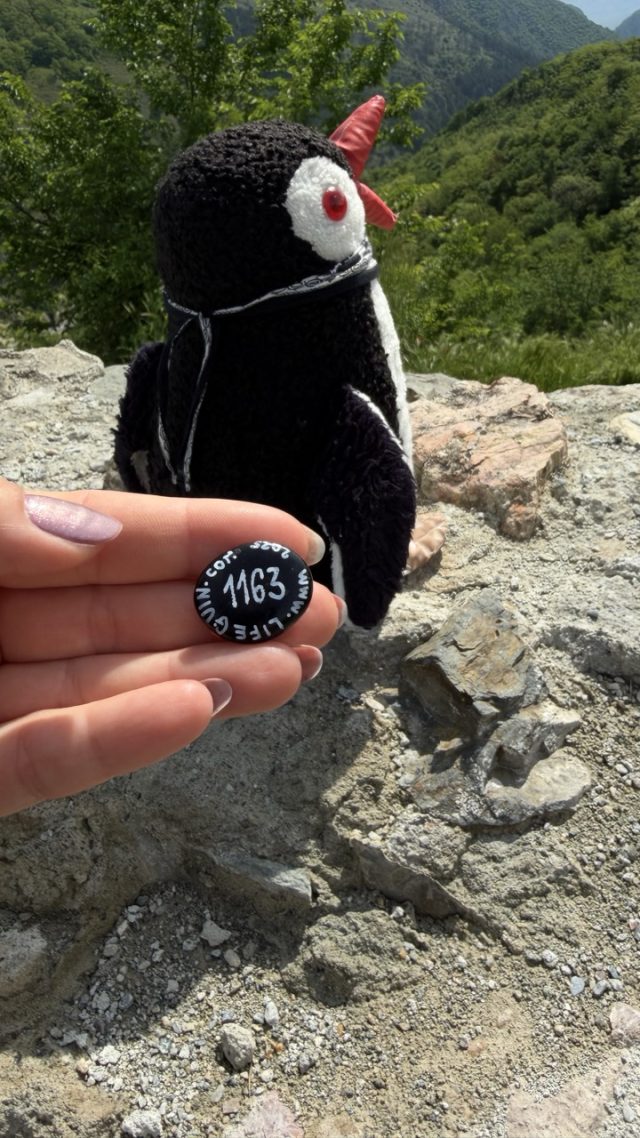 Hand-painted penguin stone #1163 hidden at Stone wall at Prizren Fortress, Prizren, Kosovo (photo 3 of 4)