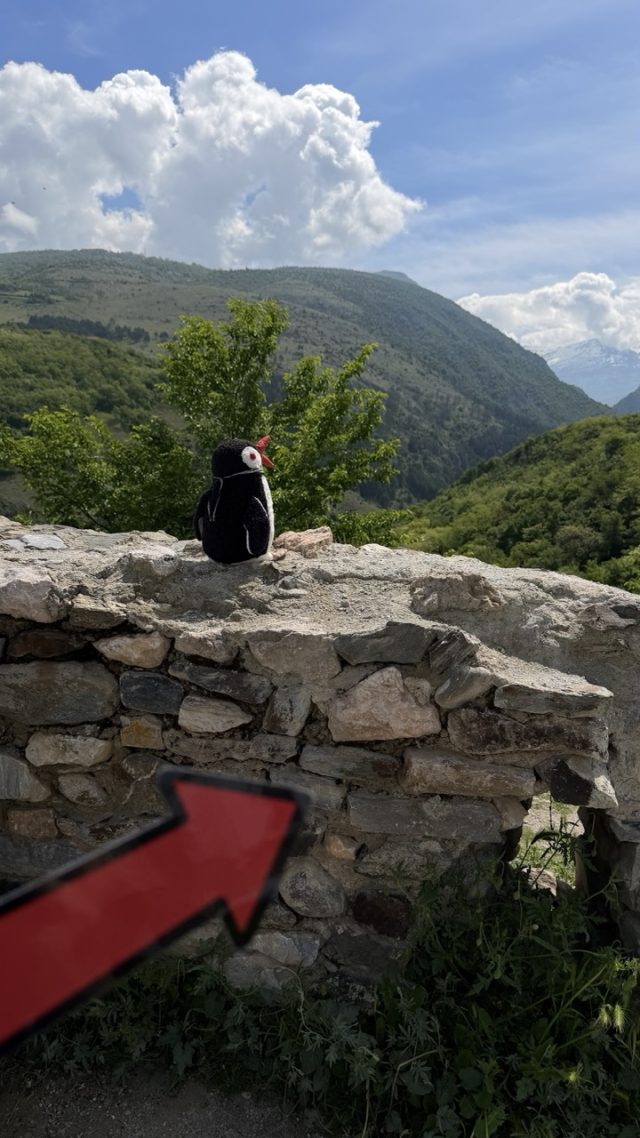 Hand-painted penguin stone #1163 hidden at Stone wall at Prizren Fortress, Prizren, Kosovo (photo 4 of 4)