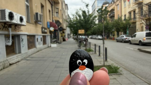 Hand-painted penguin stone #1173 hidden at Kolonada Makedonija, Skopje, North Macedonia (photo 4 of 5)