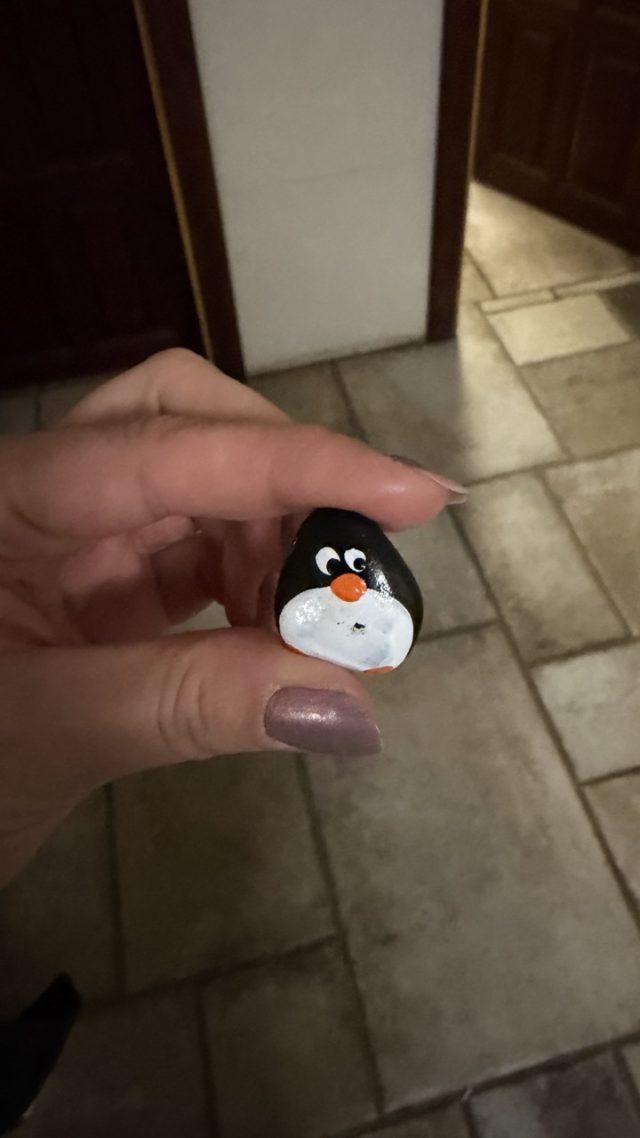 Hand-painted penguin stone #1178 hidden at Hidden Viewpoint, Macedonian Village, North Macedonia (photo 2 of 5)