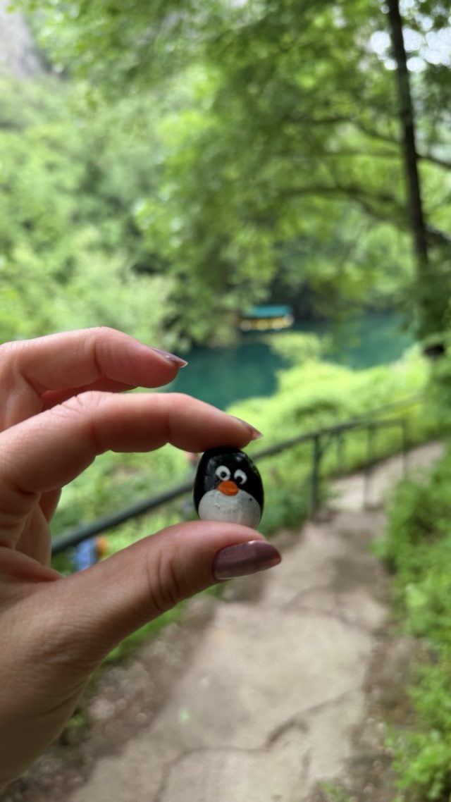 Hand-painted penguin stone #1181 hidden at Bush close to Vrelo Cave, Matka Canyon, North Macedonia (photo 2 of 4)