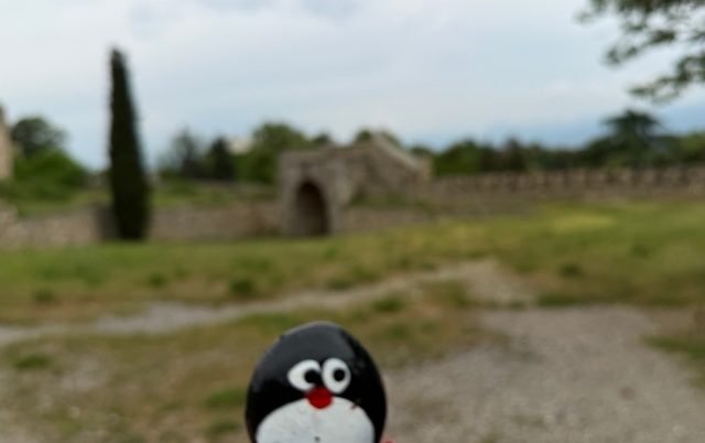 Hand-painted penguin stone #1192 hidden at Parking Lot, Skopje, North Macedonia