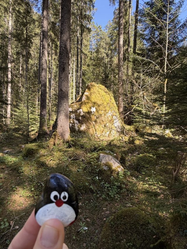 Hand-painted penguin stone #1198 hidden at Vorderer Gosausee, Gosauseen, Austria (photo 2 of 5)