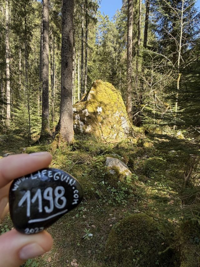 Hand-painted penguin stone #1198 hidden at Vorderer Gosausee, Gosauseen, Austria (photo 4 of 5)
